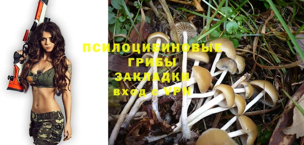 мескалин Горно-Алтайск